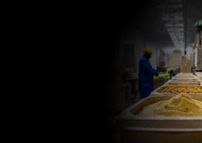 Recyclable packaging materials used at ContainerFare Co‑Packing